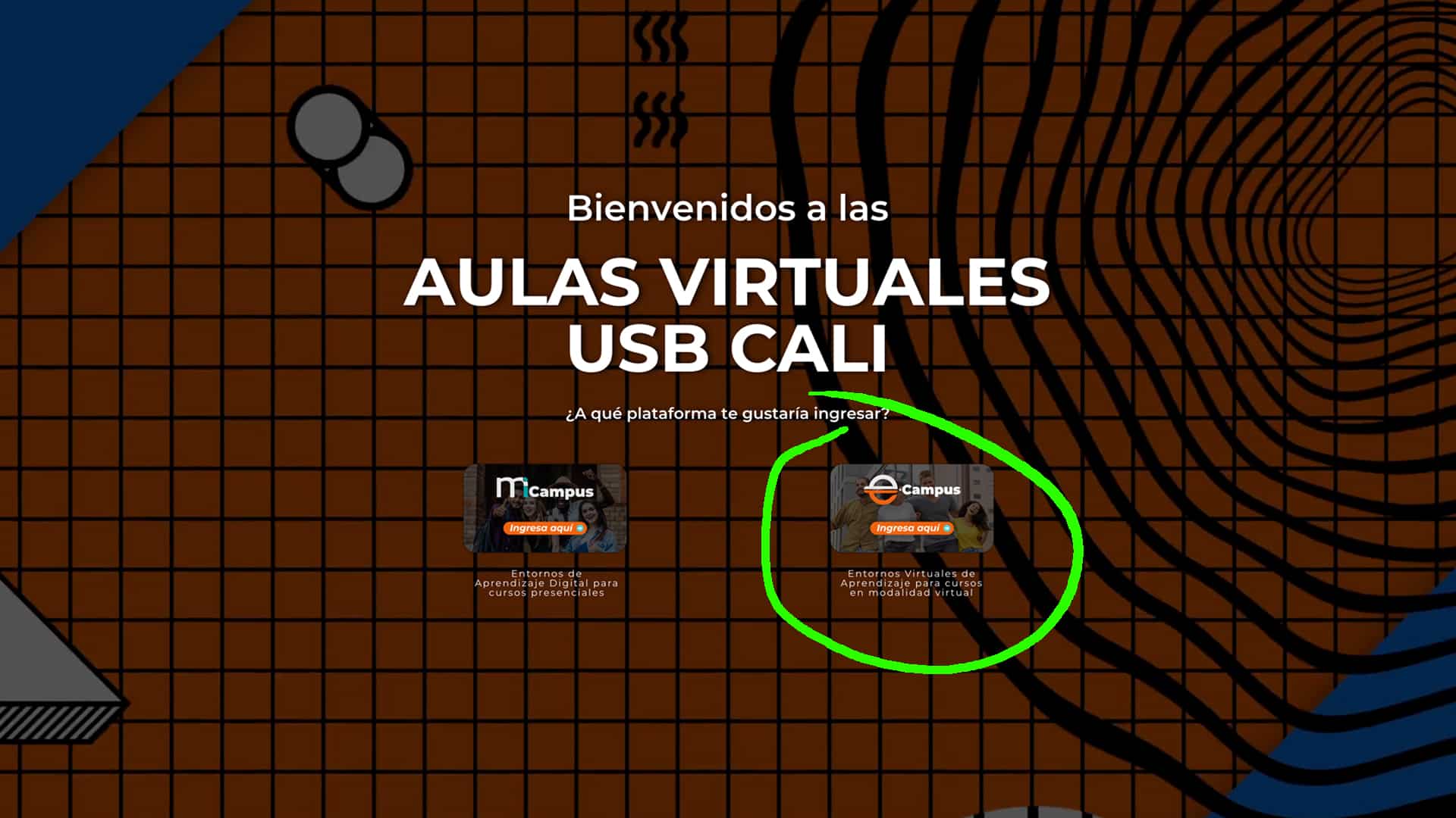 Selección de eCampus en el portal Aulas Virtuales